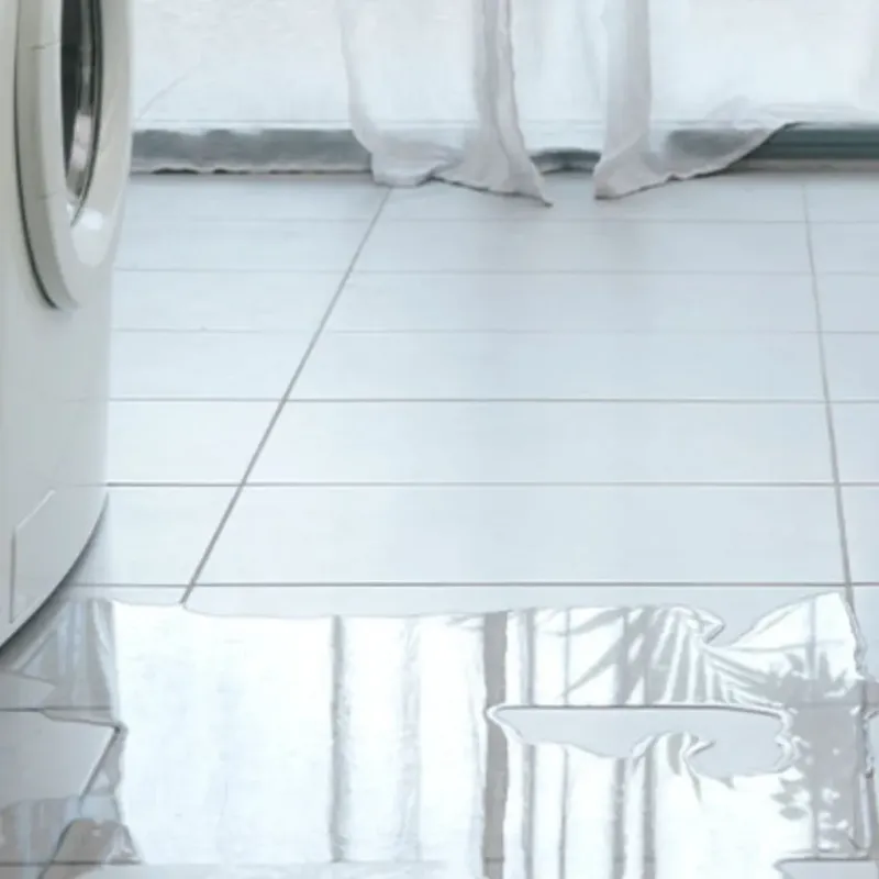Appliance Leak Cleanup in Allegan, MI