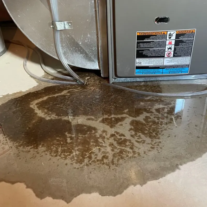 Pipe Burst and Leak Restoration in Allegan, MI